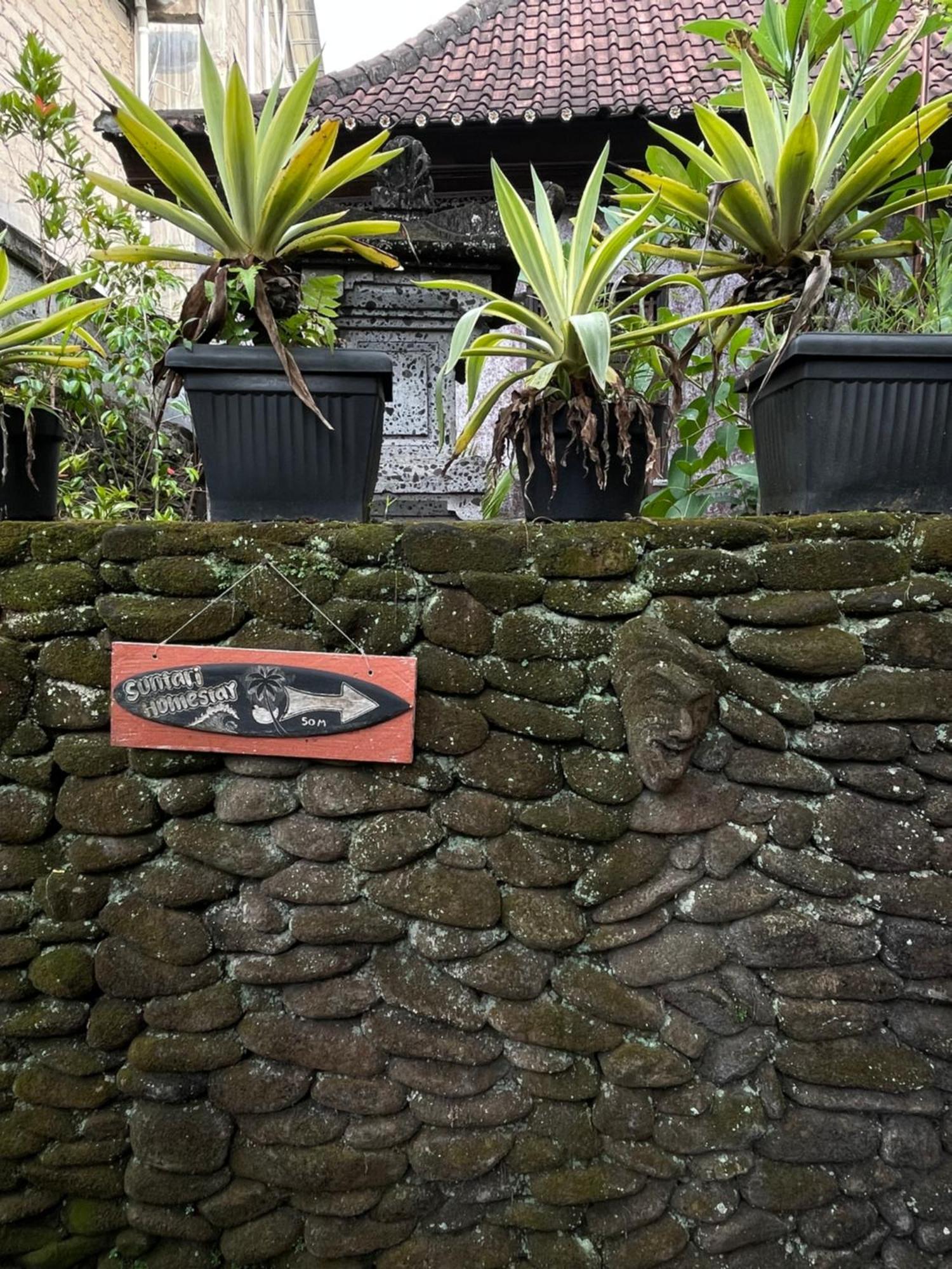 Suntari Homestay Ubud Exteriér fotografie
